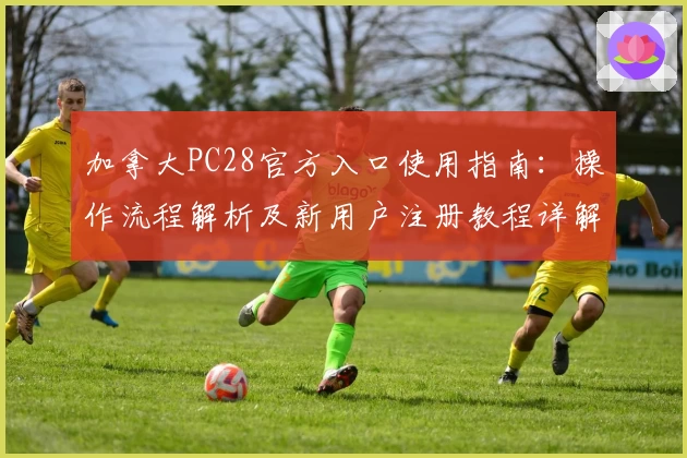 加拿大PC28官方入口使用指南：操作流程解析及新用户注册教程详解