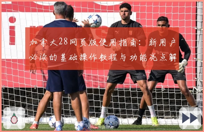 加拿大28网页版使用指南：新用户必读的基础操作教程与功能亮点解析