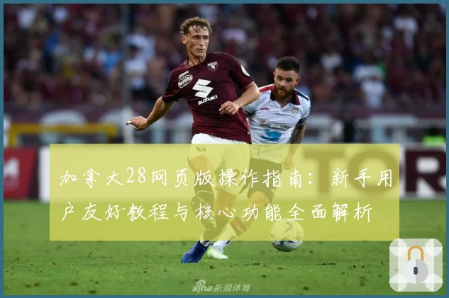 加拿大28网页版操作指南：新手用户友好教程与核心功能全面解析