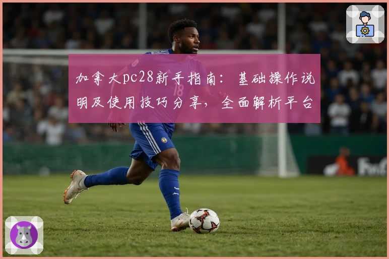 加拿大pc28新手指南：基础操作说明及使用技巧分享，全面解析平台核心优势