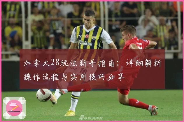 加拿大28玩法新手指南：详细解析操作流程与实用技巧分享