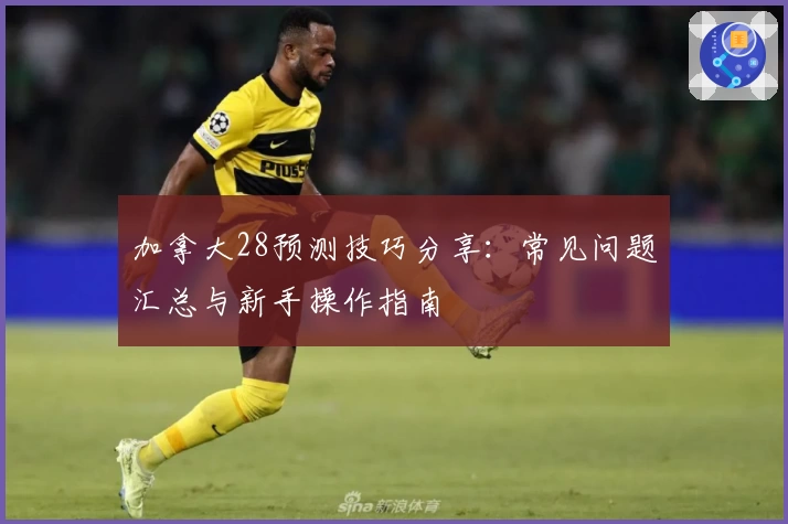 加拿大28预测技巧分享：常见问题汇总与新手操作指南