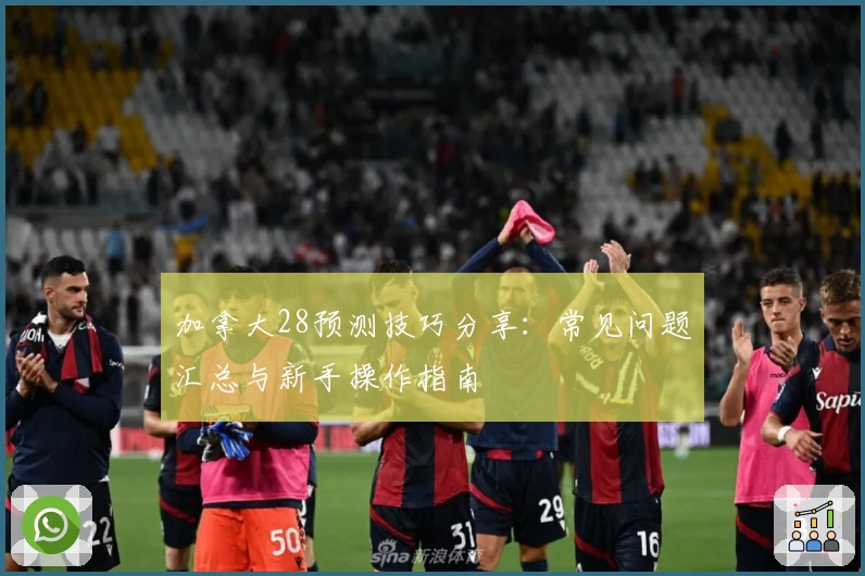 加拿大28预测技巧分享:常见问题汇总与新手操作指南