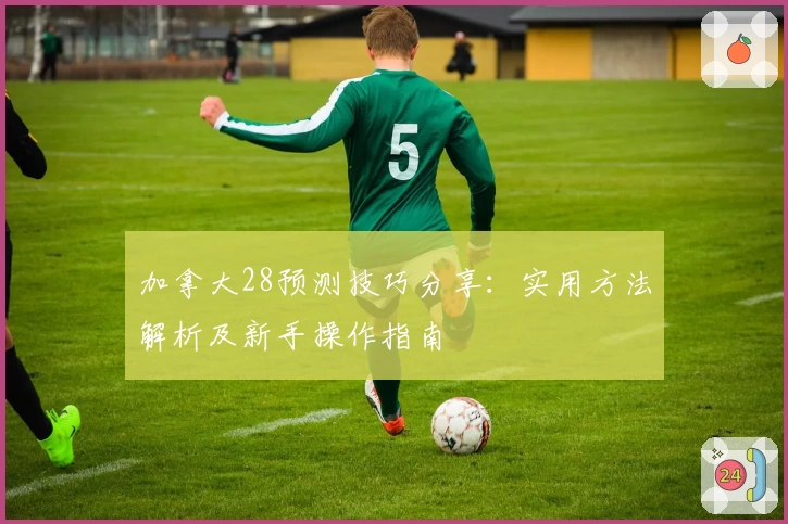 加拿大28预测技巧分享：实用方法解析及新手操作指南