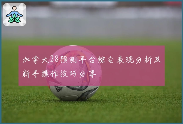 加拿大28预测平台综合表现分析及新手操作技巧分享