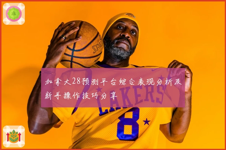 加拿大28预测平台综合表现分析及新手操作技巧分享